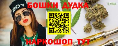 мдпв Лесосибирск