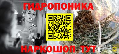 мдпв Лесосибирск