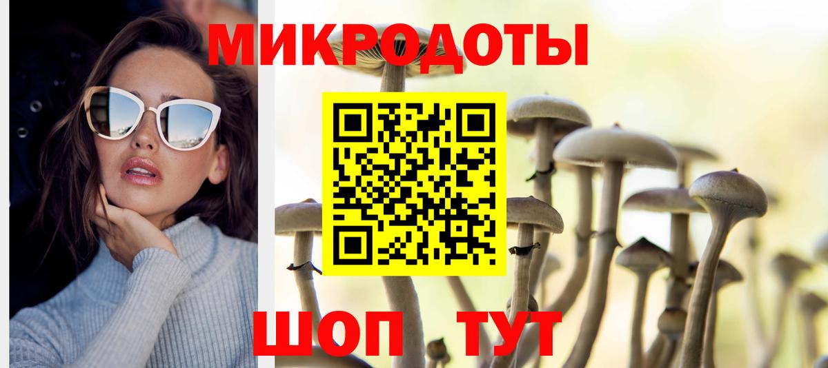 Галлюциногенные грибы Cubensis Всеволожск
